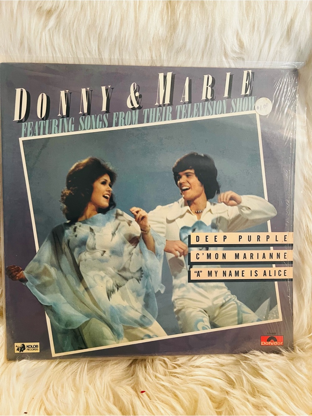 Donny & Marie Vinyl Record Cover - Blue White Artwork